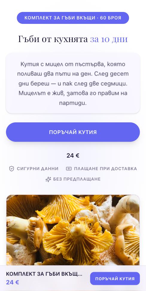 Орбита — Гъбарник вкъщи, първият екран