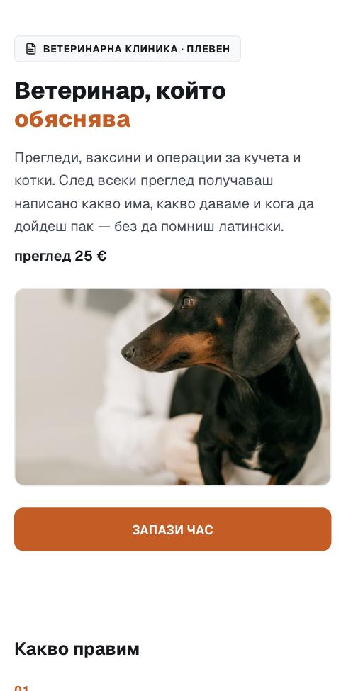 Лазер — Ветклиника Лапичка, първият екран